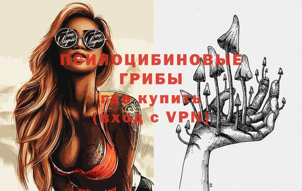 СК Киренск